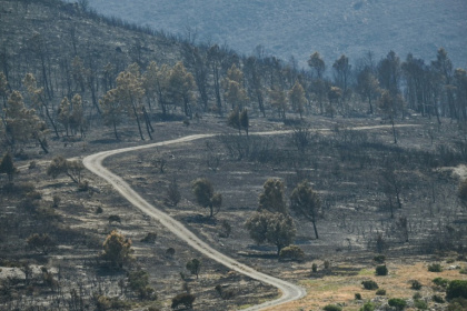 Une route au milieu d'un paysage ravagé par les flammes lors d'un incendie dans l'Aude, à Coustouge, le 8 août 2025 - Lionel BONAVENTURE (AFP)