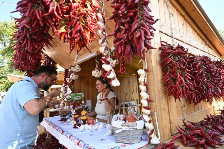 Le paprika, l'or rouge hongrois, fragilisé par le déclin de sa culture et la sécheresse