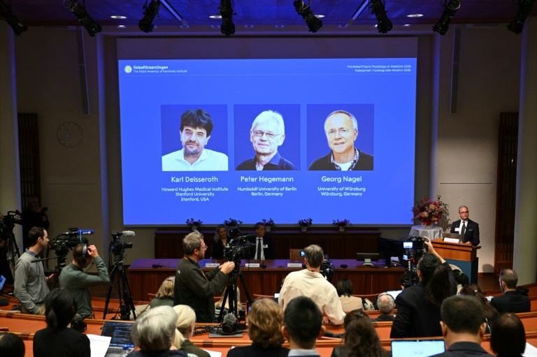 Le Nobel de médecine récompense des travaux sur les mystères du cerveau