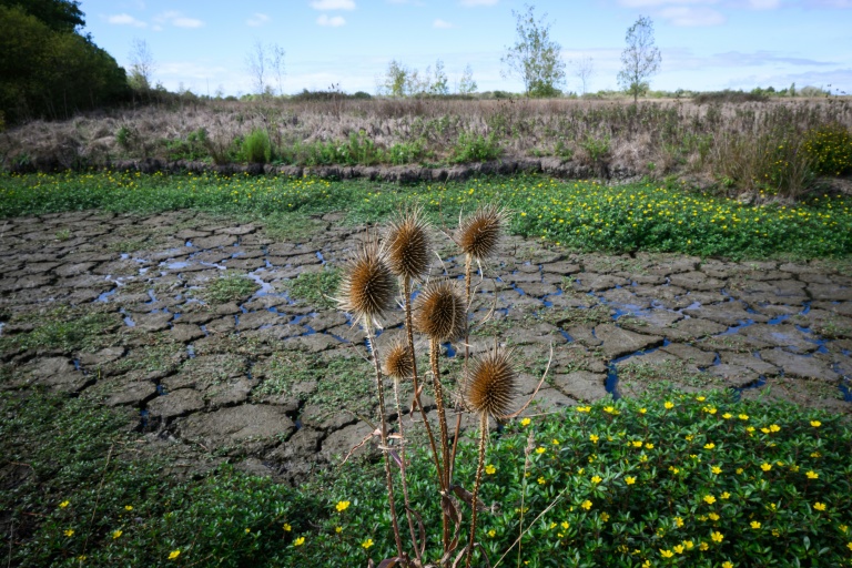 France : 66% des nappes phréatiques sous les normales, situation "très préoccupante", selon le service géologique national