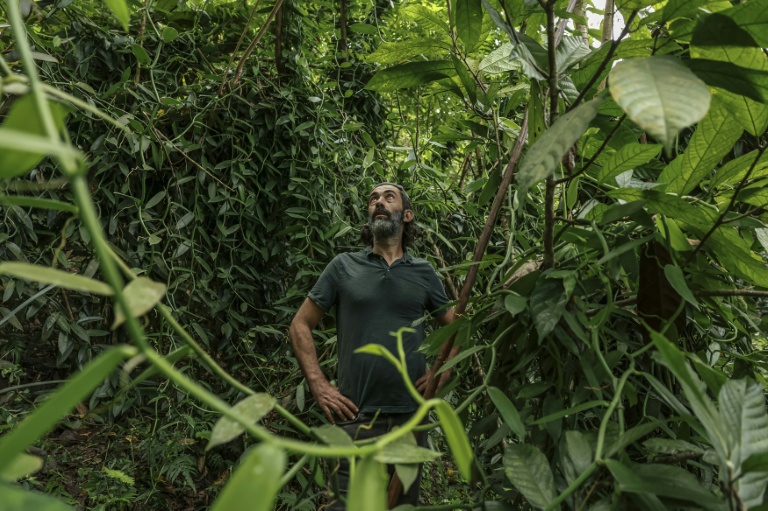 Sao Tomé : l'île chocolat développe sa culture de vanille