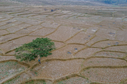 AFP__20260930__lutfi-notitle260930_npESb__v1__MidRes__ProlongedDrySeasonFoodSecurity.jpg